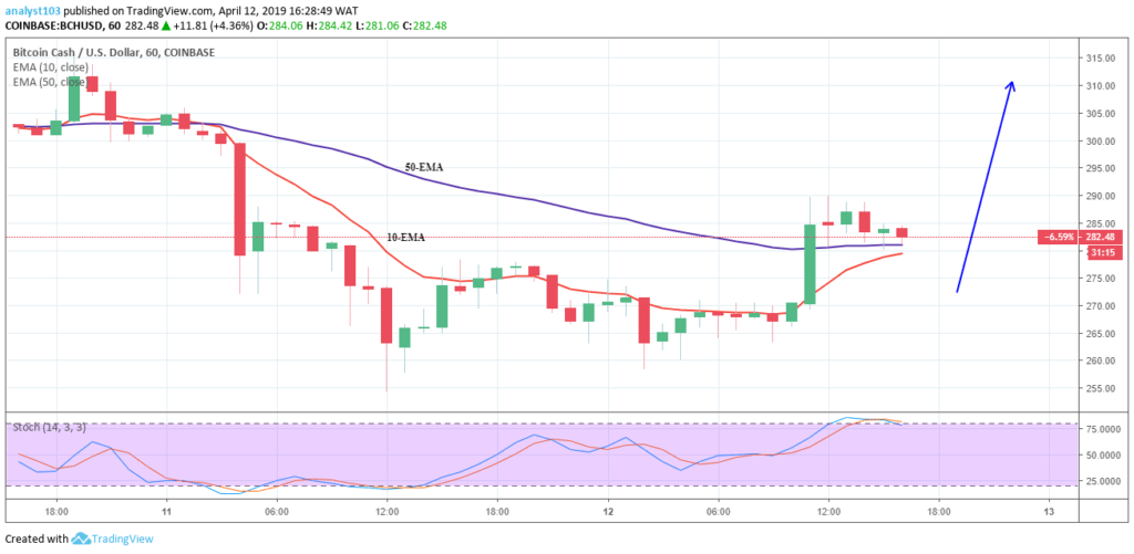 Bitcoin Cash Price Outlook