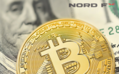 nordfx bitcoin