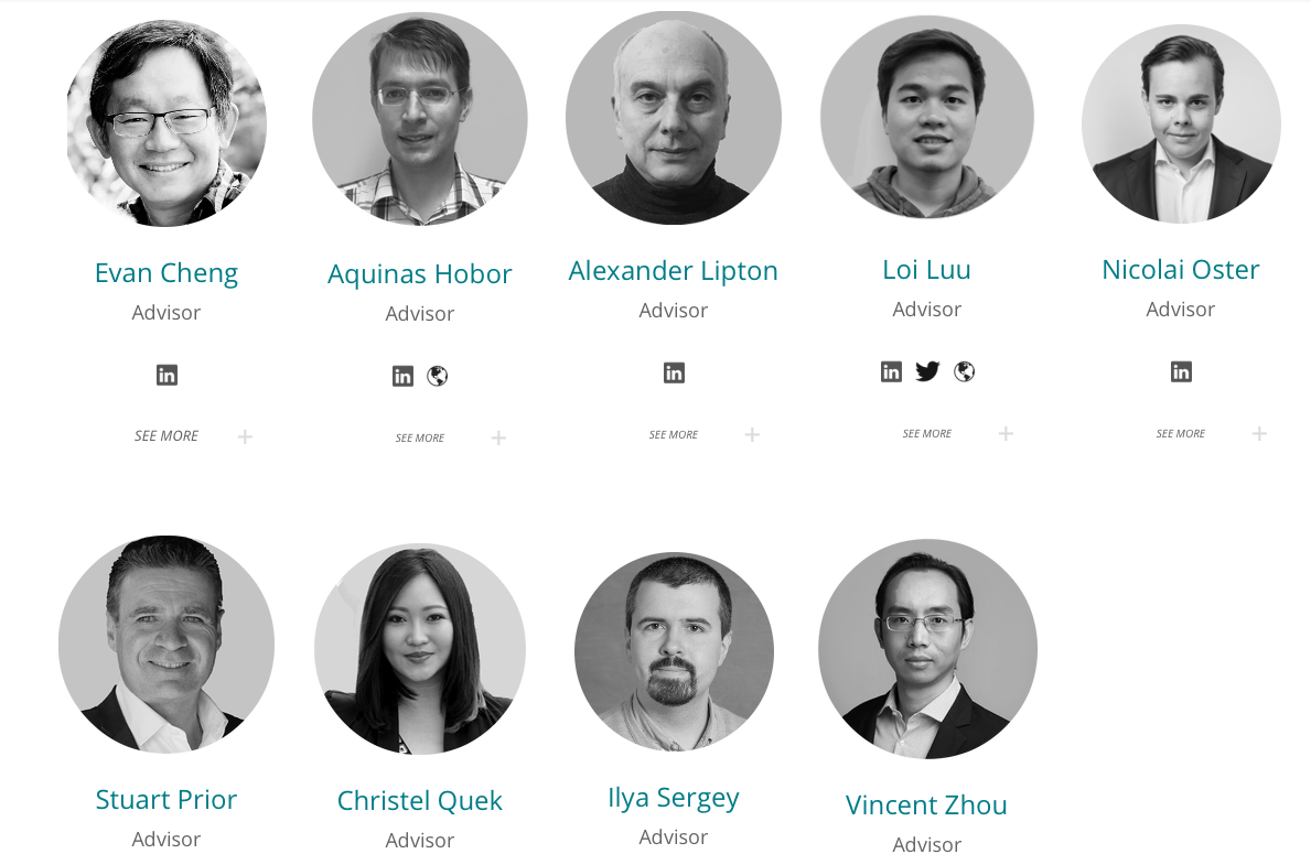 zilliqa team | zilliqa advisors