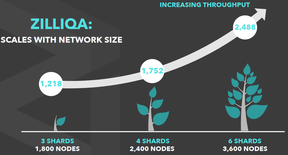 zilliqa sharding | what is sharding | what is zilliqa sharding 