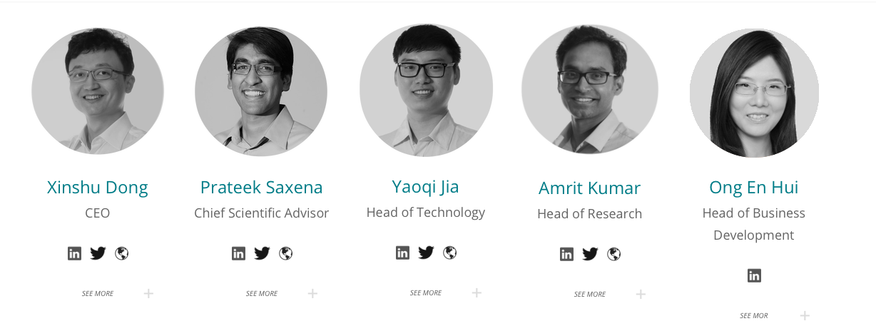 zilliqa team | zilliqa advisors