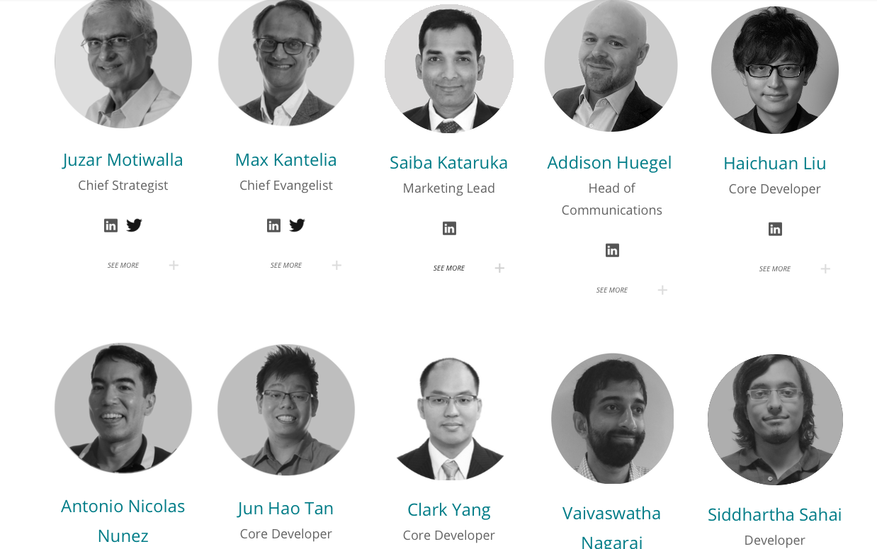 zilliqa team | zilliqa advisors