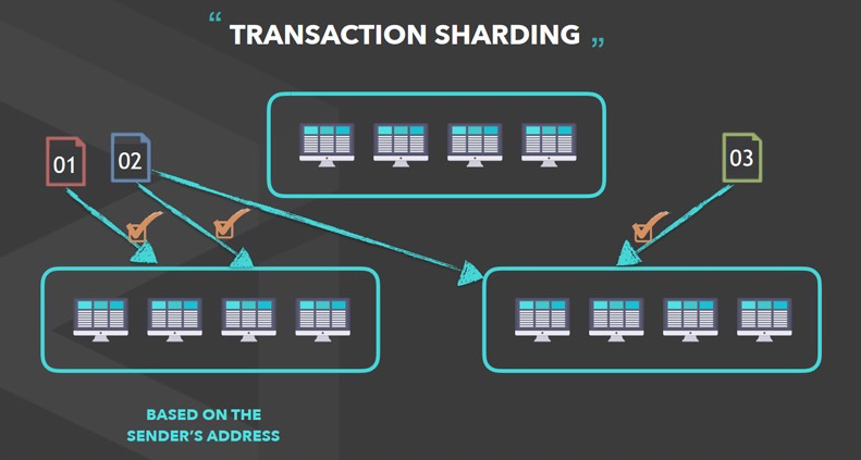 zilliqa transaction sharding | zilliqa sharing