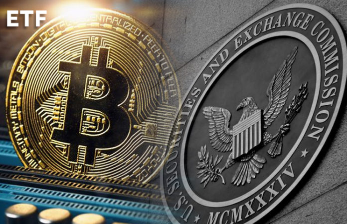 Cbboe trading halt bitcoin