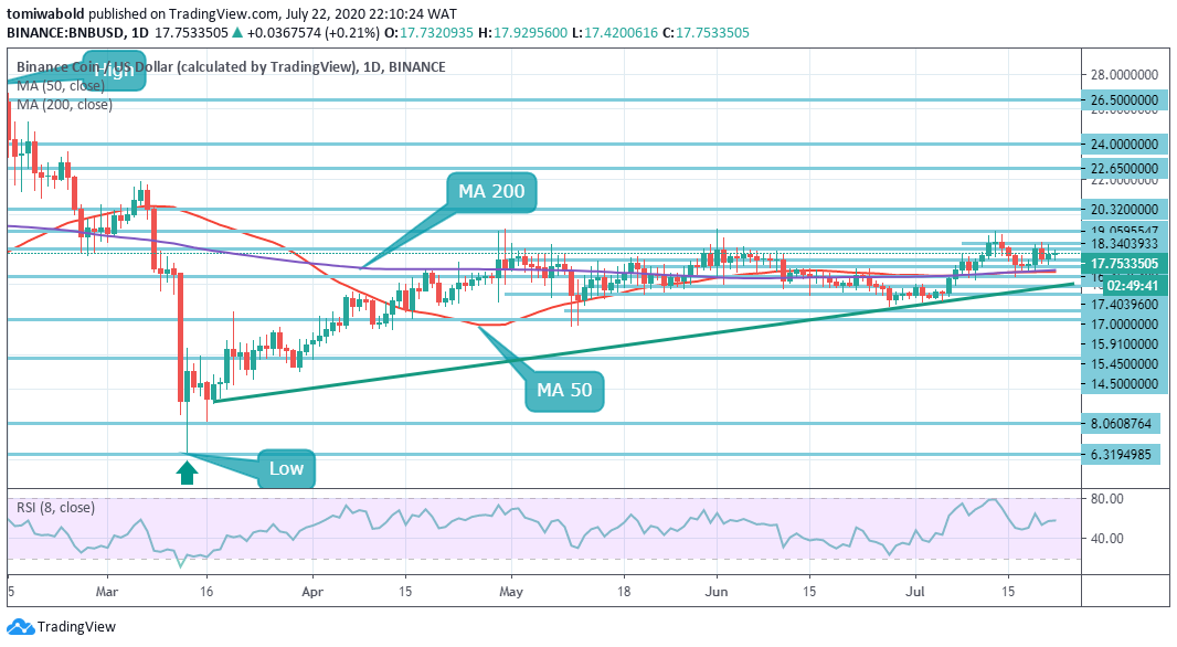 BNB price analysis: BNB/USD registers steady consolidation past $17.50