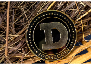 DOGE Price Analysis: Breathtaking Rally to Highs of $0.146.