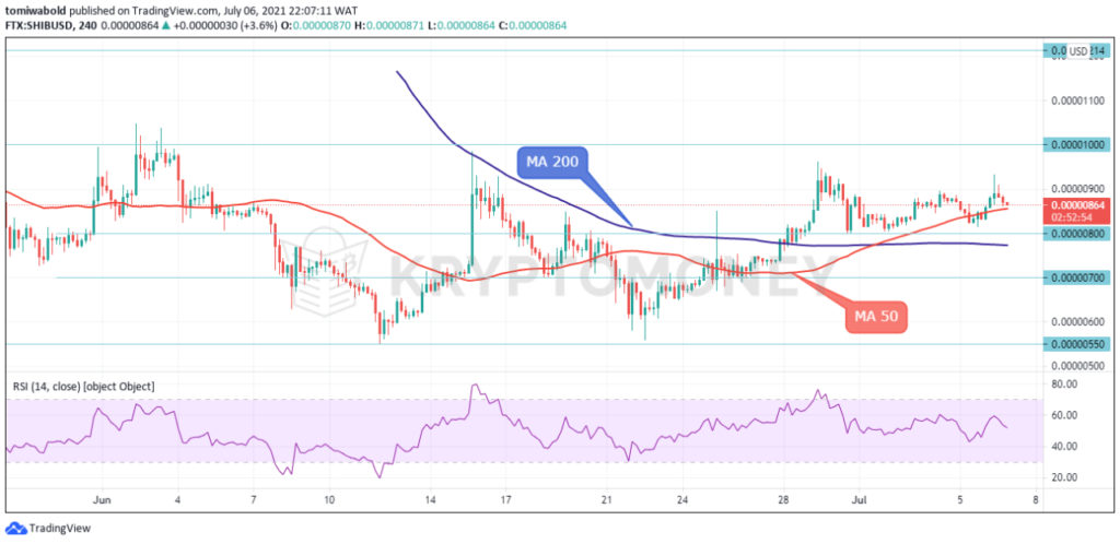 shib price real time